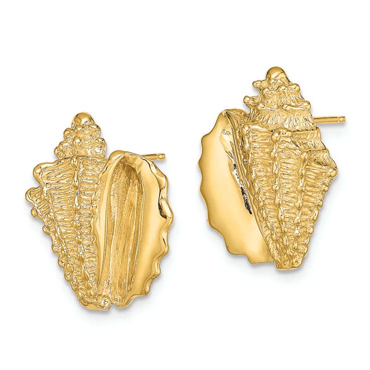 14k Yellow Gold 2D Textured Conch Shell Stud Earrings
