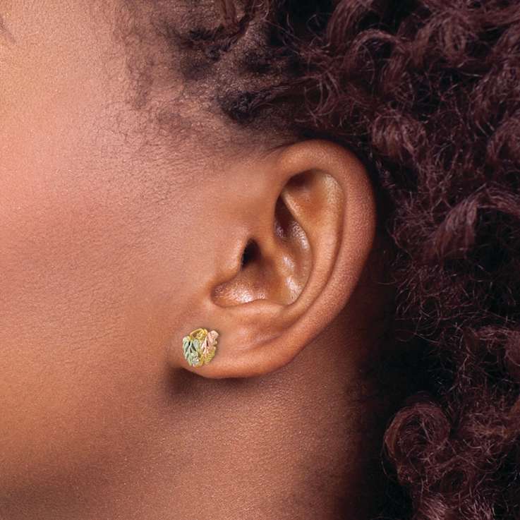 10k Yellow Gold with 12k Rose Gold and 12k Green Gold Accent Diamond
Leaves Stud Earrings