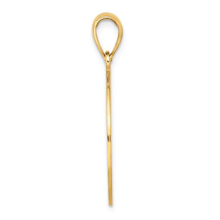 14k Yellow Gold Saint George Island with Dolphins Circlular Charm