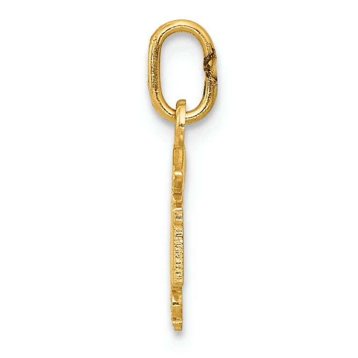 14k Yellow Gold Diamond-Cut and Polished RN Nurse Pendant