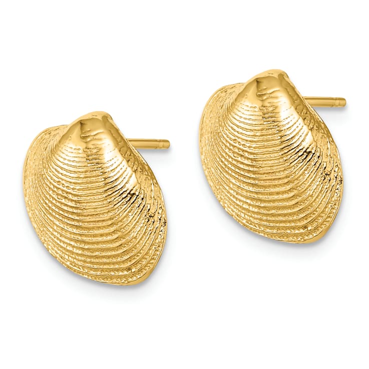14k Yellow Gold Textured Clam Shell Stud Earrings