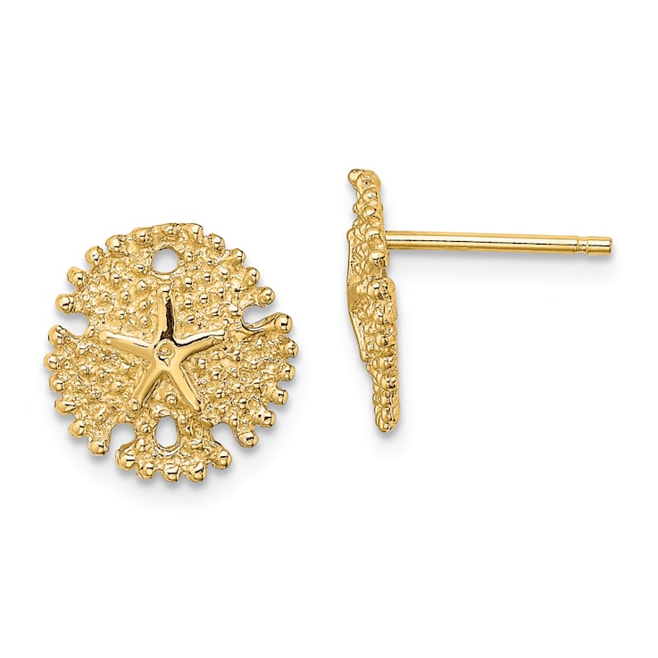14k Yellow Gold Textured Sand Dollar Stud Earrings