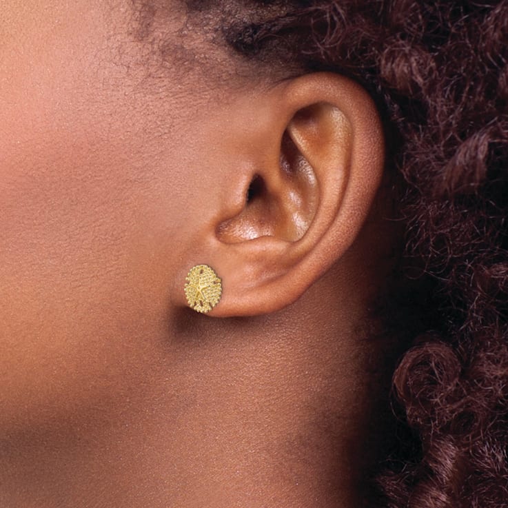 14k Yellow Gold Textured Sand Dollar Stud Earrings