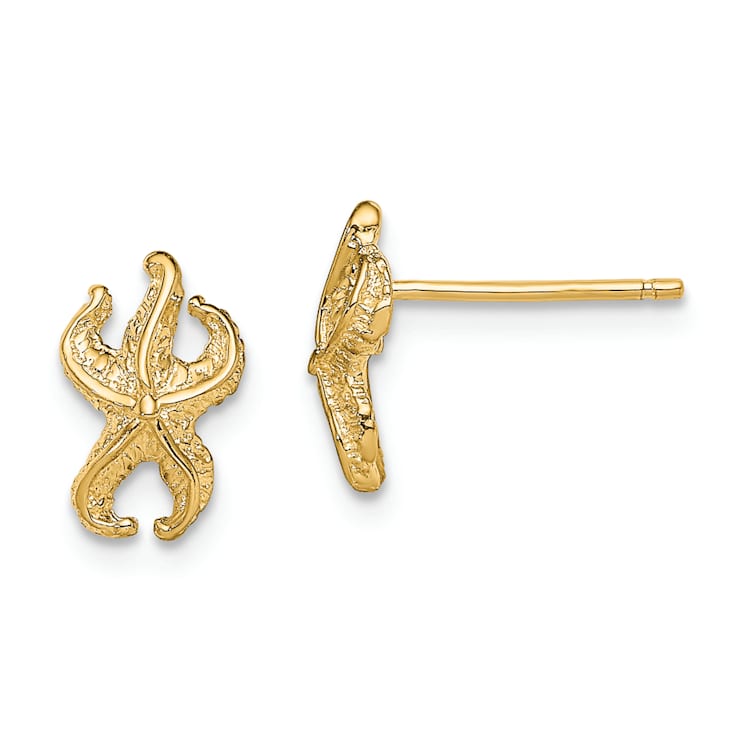 14K Yellow Gold Textured Starfish Stud Earrings