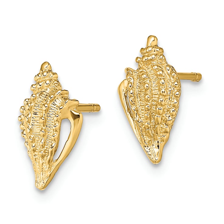 14k Yellow Gold Textured Mini Conch Shell Stud Earrings