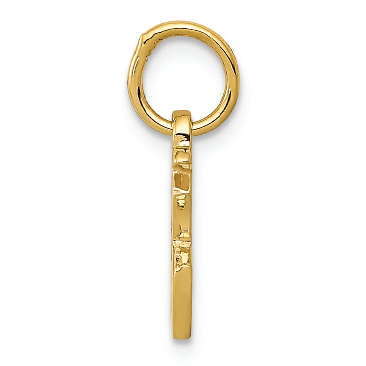 10K Yellow Gold Chinese Symbol "Good Luck" Charm