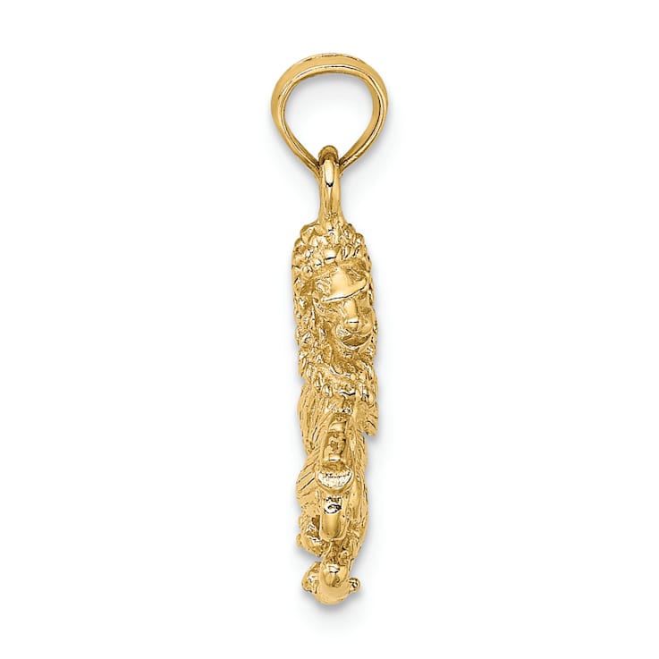 14k Yellow Gold 3D Textured Leo Zodiac pendant