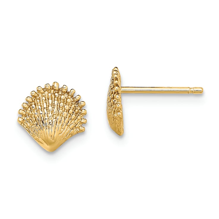14k Yellow Gold Textured Scallop Shell Stud Earrings