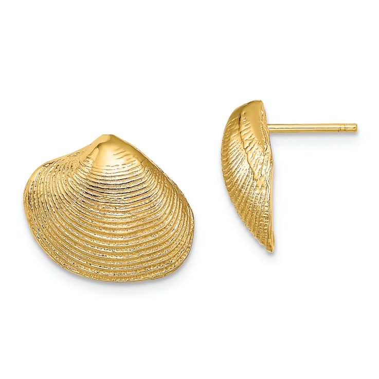 14k Yellow Gold Textured Clam Shell Stud Earrings