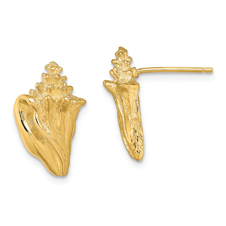 14k Yellow Gold Textured Conch Shell Stud Earrings