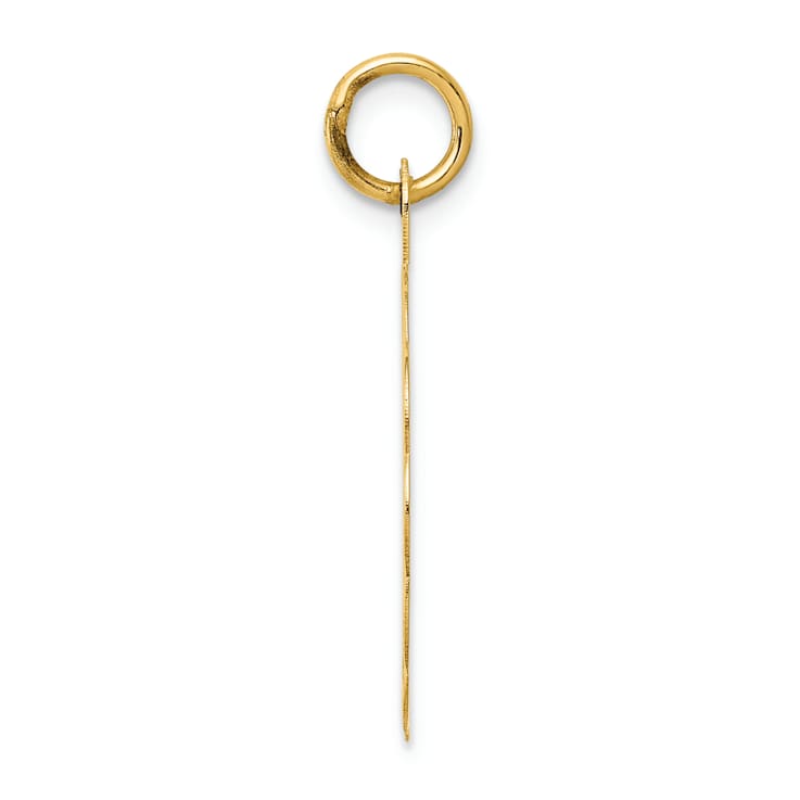 14k Yellow Gold 25th Anniversary Disc Charm