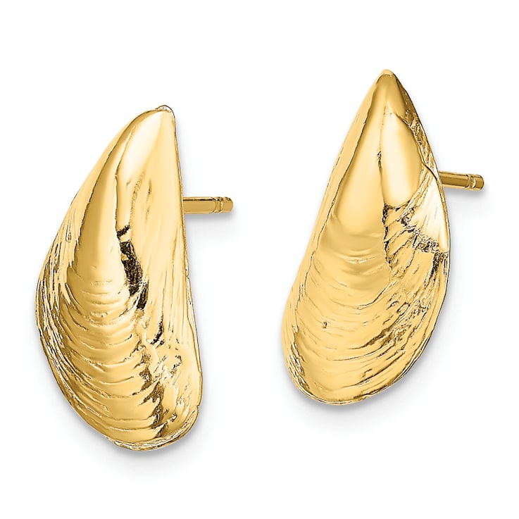 14K Yellow Gold Mussel Shell Stud Earrings