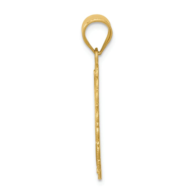 14k Yellow Gold Solid Satin, Polished and Textured Leo Zodiac Oval Pendant