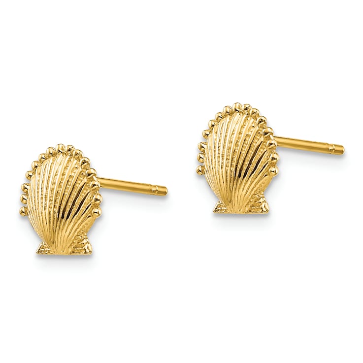 14k Yellow Gold Textured Scallop Shell Stud Earrings