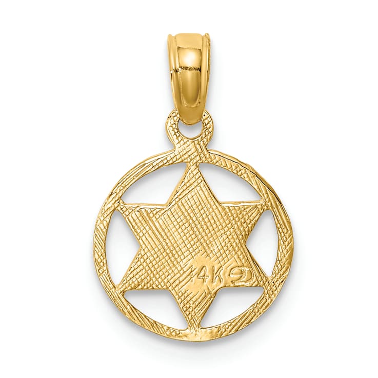 14k Yellow Gold Textured Star of David in Circle Frame Pendant