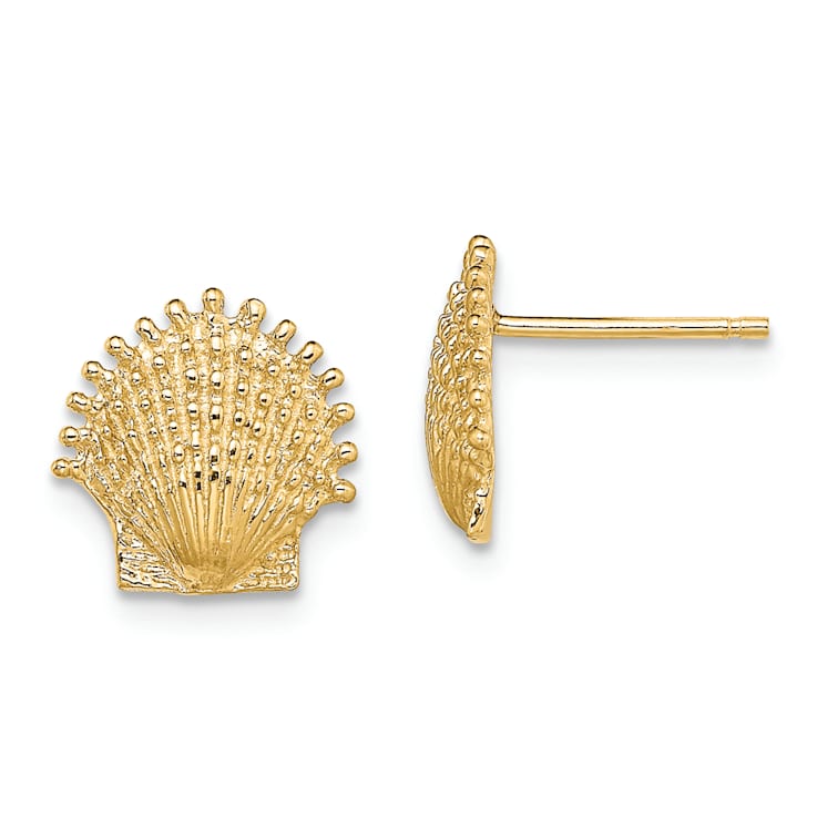 14k Yellow Gold 10.4mm Textured Beaded Scallop Shell Stud Earrings