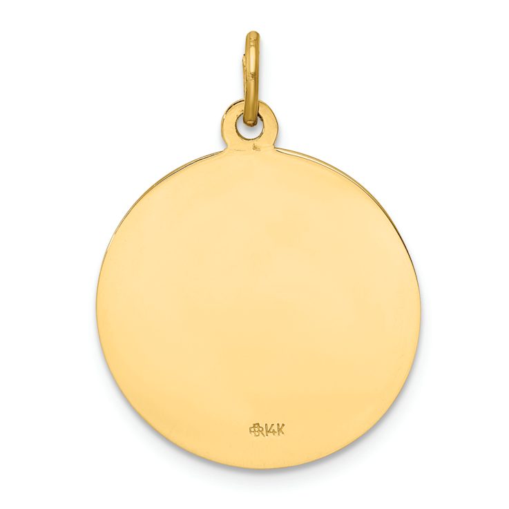 14k Yellow Gold Satin Our Lady of Mt. Carmel Medal Charm - 12QF2A