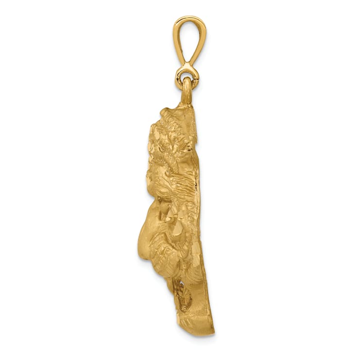 14k Yellow Gold Diamond-Cut and Satin Tigers Head Pendant