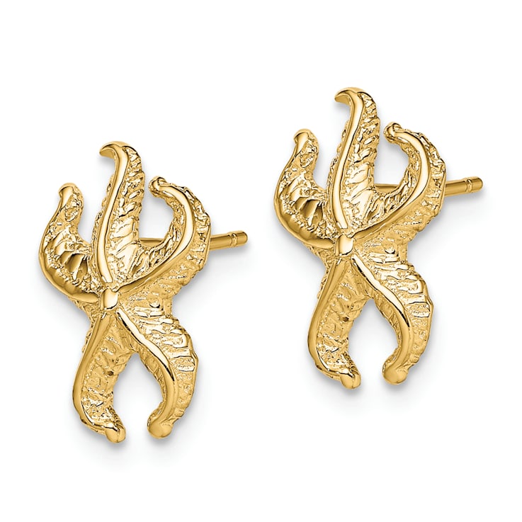 14k Yellow Gold Textured Starfish Stud Earrings