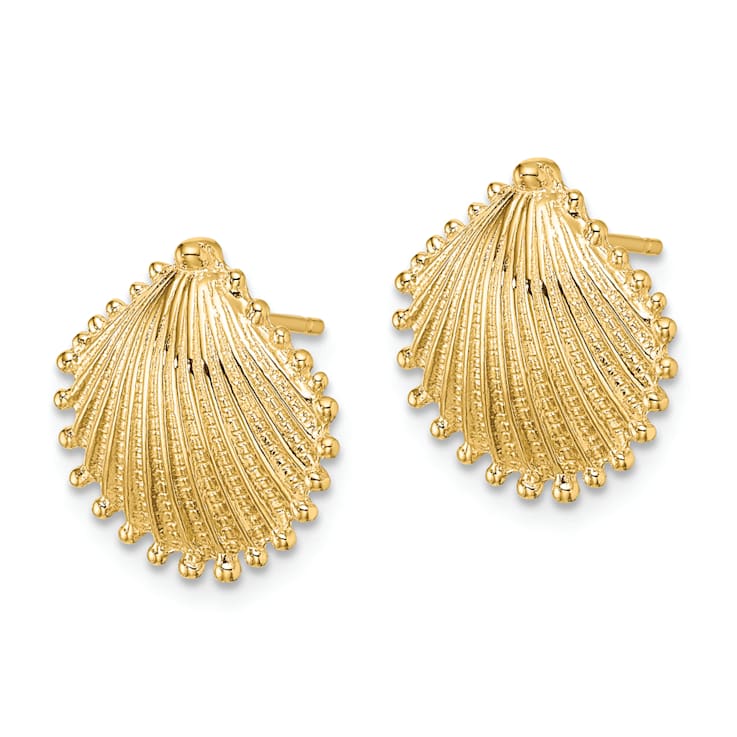 14K Yellow Gold Textured Scallop Shell Stud Earrings