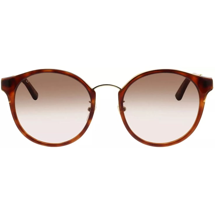 Gucci Brown and Gold Tone Frame / Brown Gradient Lens Sunglasses