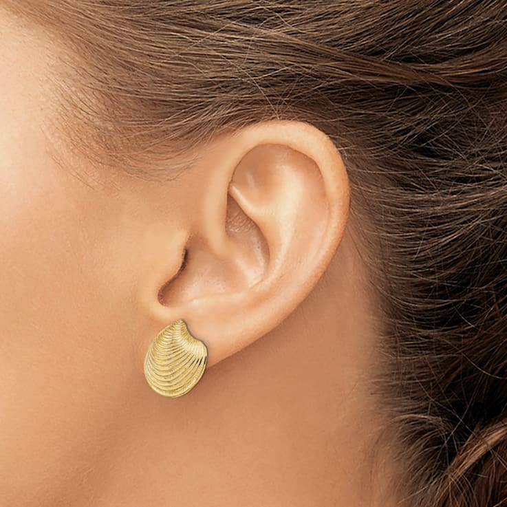 14k Yellow Gold 2D Textured and Polished Clam Shell Stud Earrings