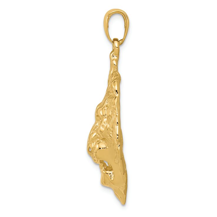 14k Yellow Gold Textured Lion Charm