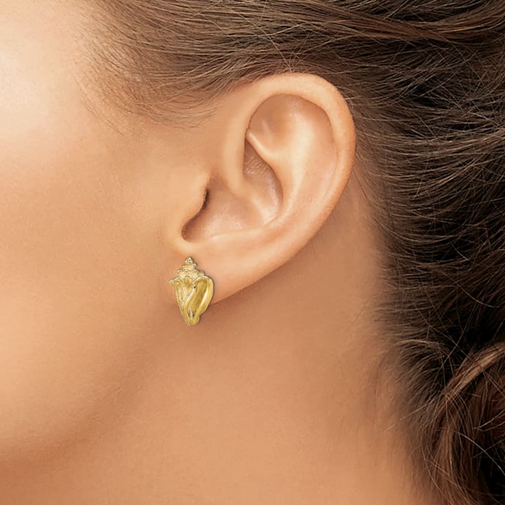 14k Yellow Gold Textured Conch Shell Stud Earrings