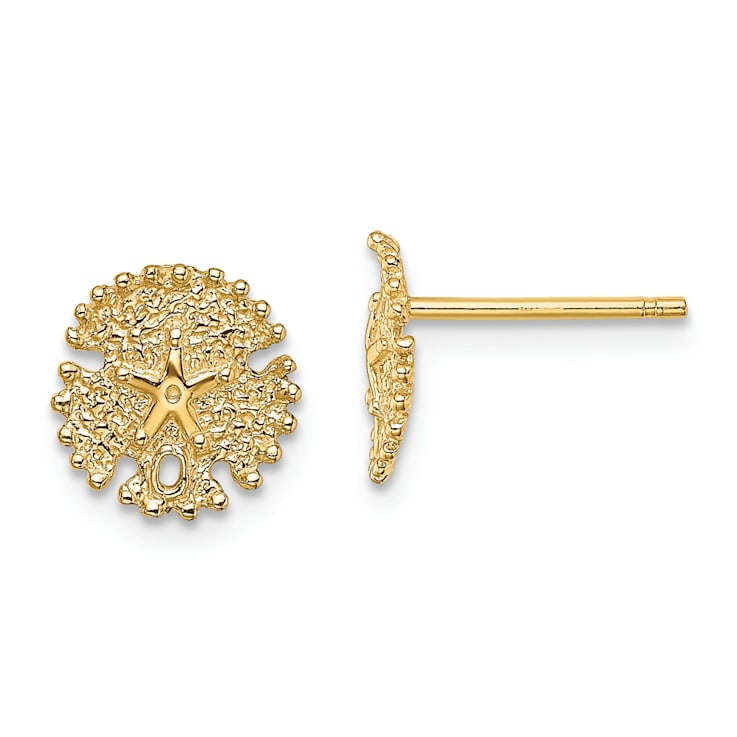 14k Yellow Gold Textured Sand Dollar Stud Earrings