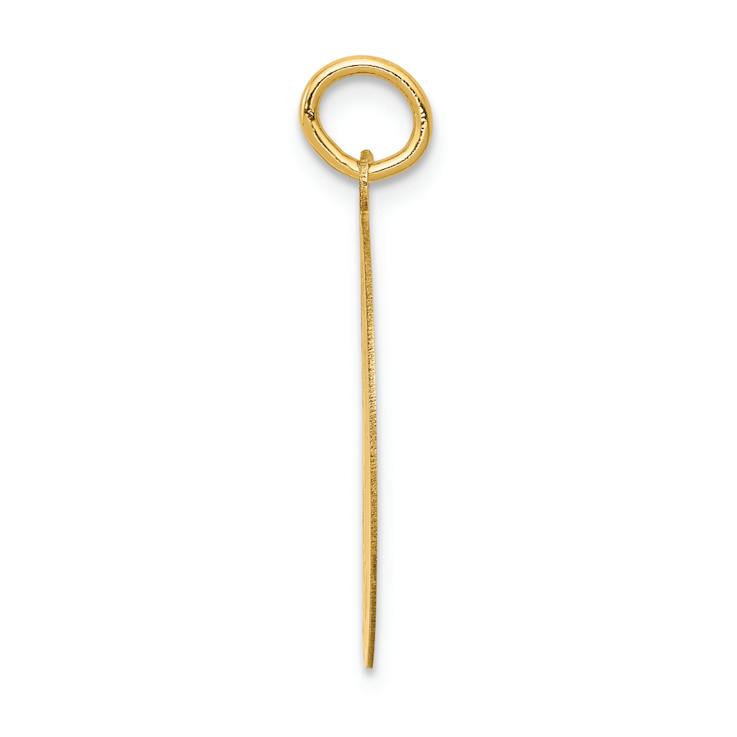 14k Yellow Gold Satin Siberian Husky Disc Charm