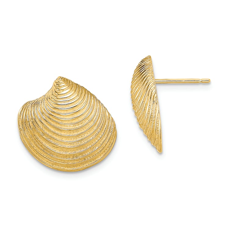 14k Yellow Gold 2D Textured and Polished Clam Shell Stud Earrings