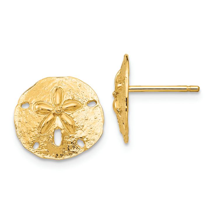 14k Yellow Gold 12mm Sand Dollar Stud Earrings