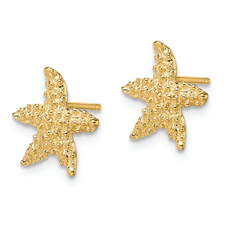 14k Yellow Gold Textured Starfish Stud Earrings