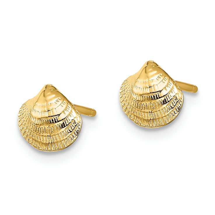 14k Yellow Gold Textured Mini Clam Shell Stud Earrings