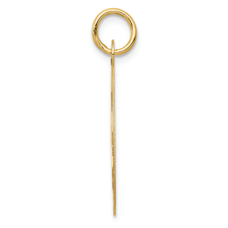 14k Yellow Gold Medium PARAMEDIC Medical Pendant