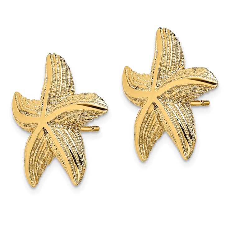 14k Yellow Gold Textured Starfish Stud Earrings