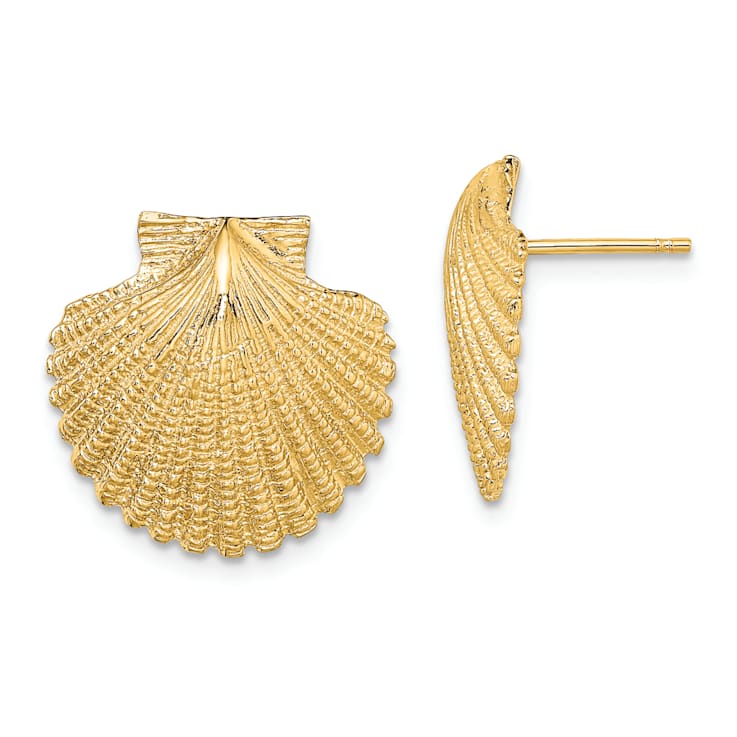 14k Yellow Gold 2D Textured Scallop Shell Stud Earrings