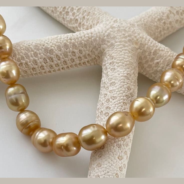 Golden South Sea 9mm Cultured Pearl Bracelet with 14k Yellow Gold Clasp