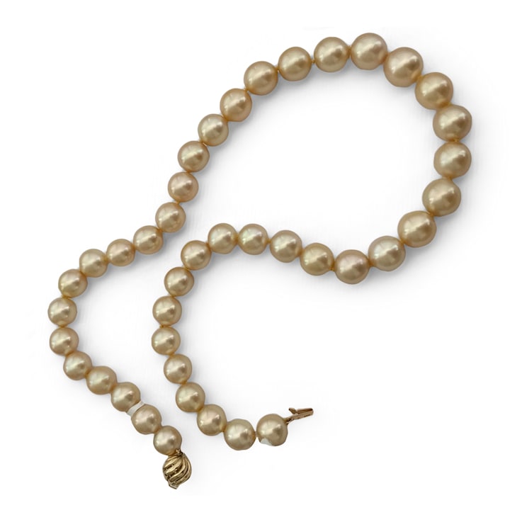 Rare AAAA Champagne Natural Color Golden South Sea Cultured Pearl Strand  with 14k Yellow Gold Clasp - 16M1VA