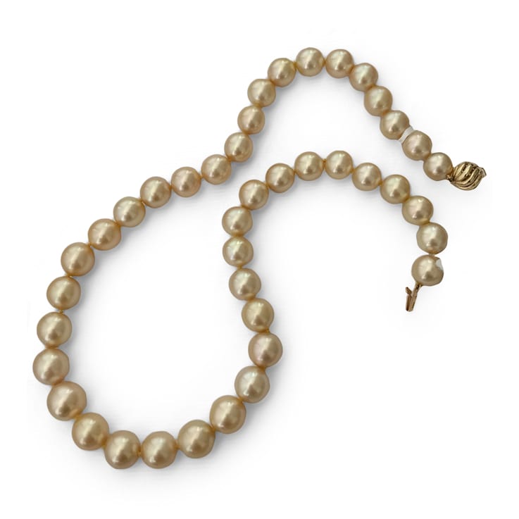 Rare AAAA Champagne Natural Color Golden South Sea Cultured Pearl Strand  with 14k Yellow Gold Clasp - 16M1VA