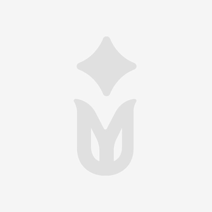 1/3 CT TW Diamond Cluster Ring in Sterling Silver