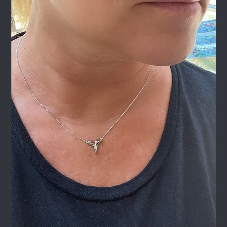 Sterling Silver Shark's Tooth Necklace with Rolo Chain and Blue CZ Accent.