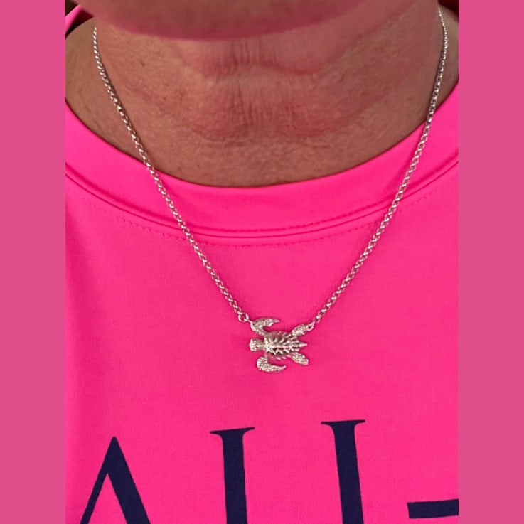 Sterling Silver Sea Turtle Necklace with Rolo Chain.