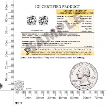 6 Ct 14K Gold IGI Certified Lab Grown Round Shape 4 Prong Diamond Stud
Earrings Friendly Diamonds
