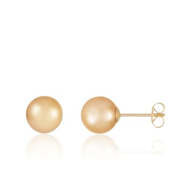 11-12mm Round Golden south sea earrings in 14k yellow gold