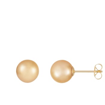 9-10mm Round Golden south sea earrings in 14k yellow gold