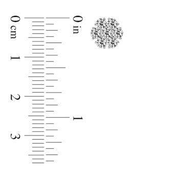 1.00ctw Lab Grown Diamond Cluster Earrings in 14k White Gold