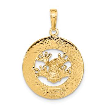 14k Yellow Gold Textured Puerto Rico with Frog Pendant