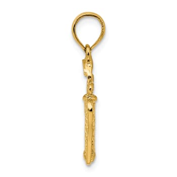 14k Yellow Gold 3D Textured Golfer in Swing Charm