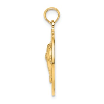 14k Yellow Gold Textured Bahamas Dolphin Pendant